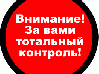 Тотальный контроль со стороны государства.